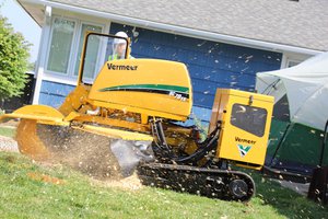 How a stump grinder works and other FAQs related to stump grinder types, rentals, safety considerations