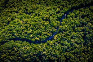 {site.name}'s Sustainability Initiatives in 2022 and Beyond {site.name}'s Sustainability Initiatives in 2022 and Beyond