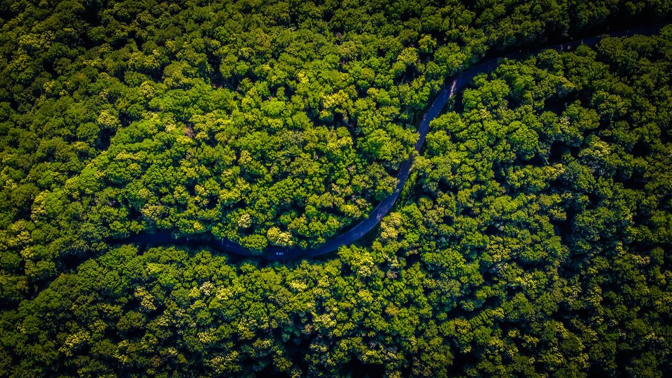 Williams Machinery's Sustainability Initiatives in 2022 and Beyond Williams Machinery's Sustainability Initiatives in 2022 and Beyond