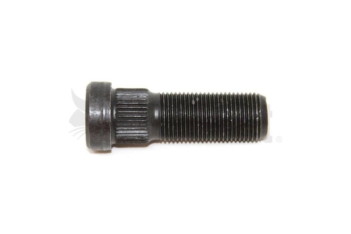 Genuine Bobcat Stud, 6674706. 