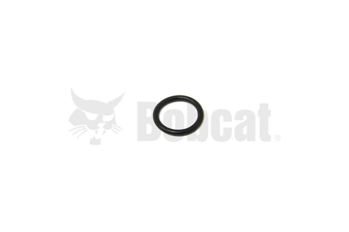 O-Ring, 6704820